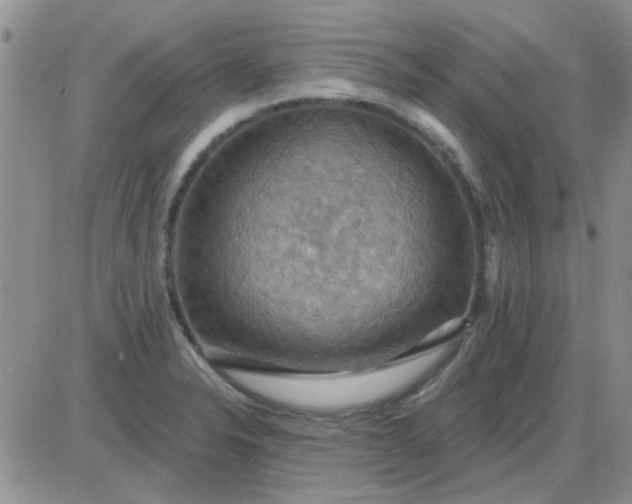 X0000085301326200703231848