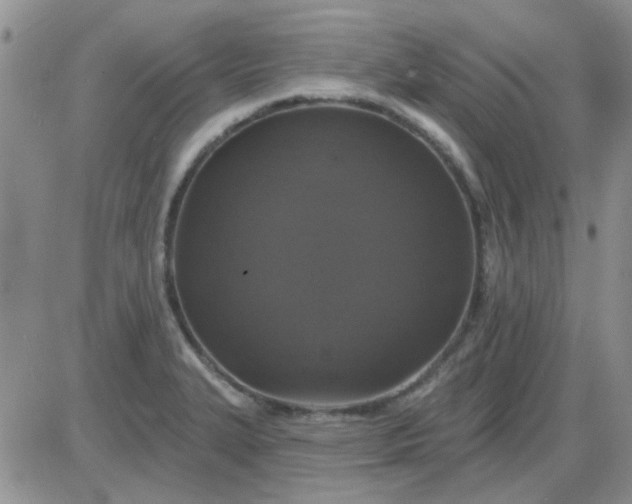 X0000085301327200703231848