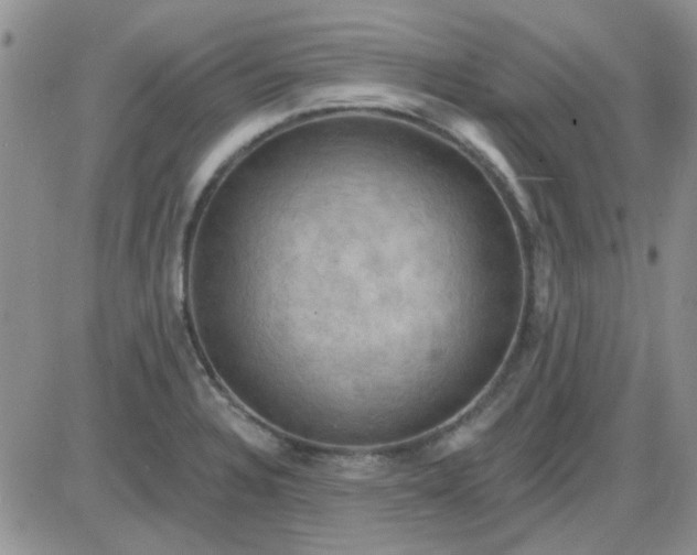 X0000085301328200703231848