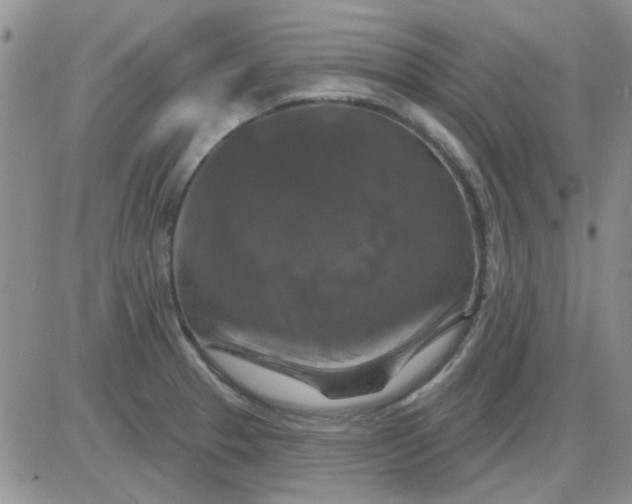 X0000085301329200703231848