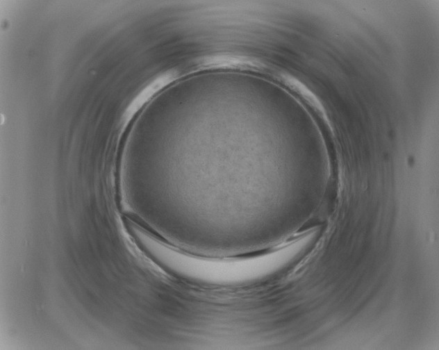 X0000085301330200703231848