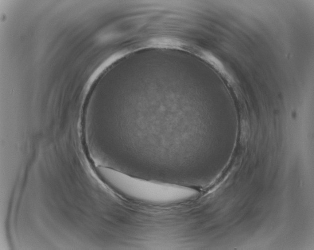 X0000085301331200703231848