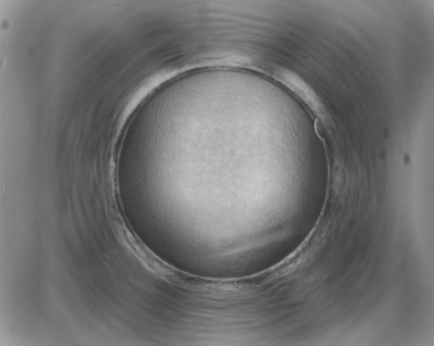 X0000085301332200703231848