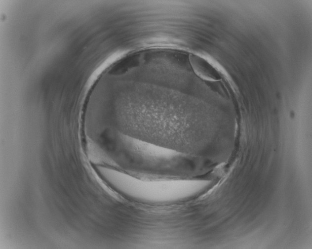 X0000085301333200703231848