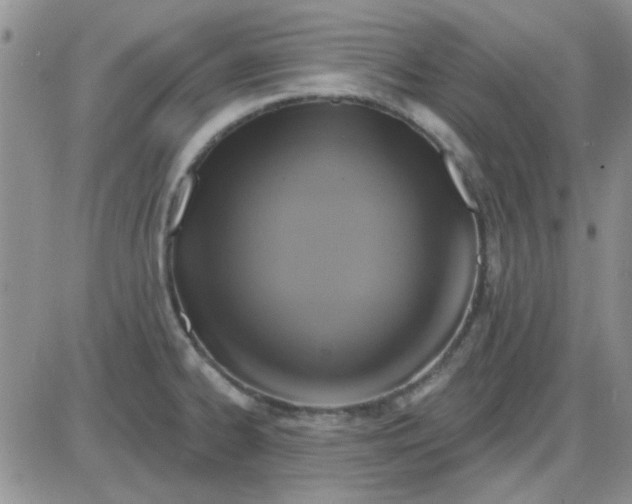 X0000085301334200703231848