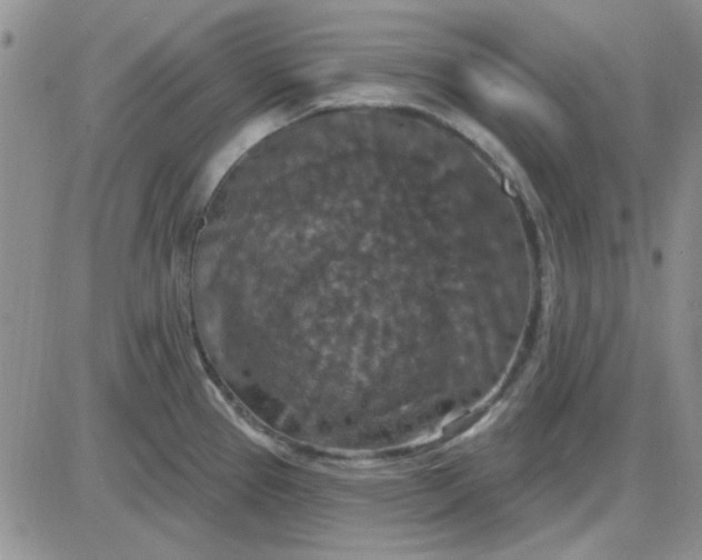 X0000085301337200703231848