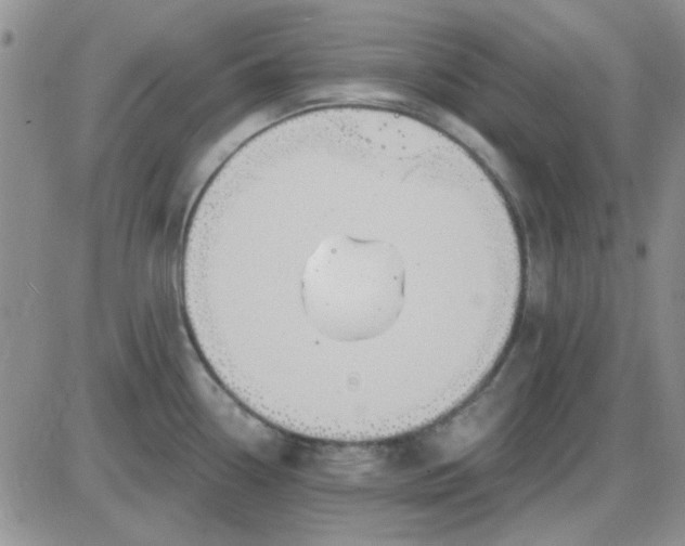 X0000085301338200703231848