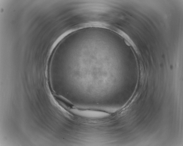 X0000085301339200703231848