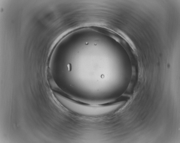 X0000085301340200703231848