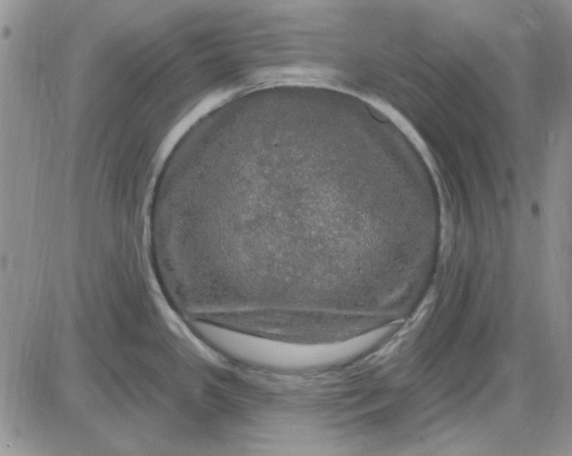 X0000085301341200703231848