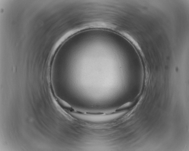 X0000085301342200703231848