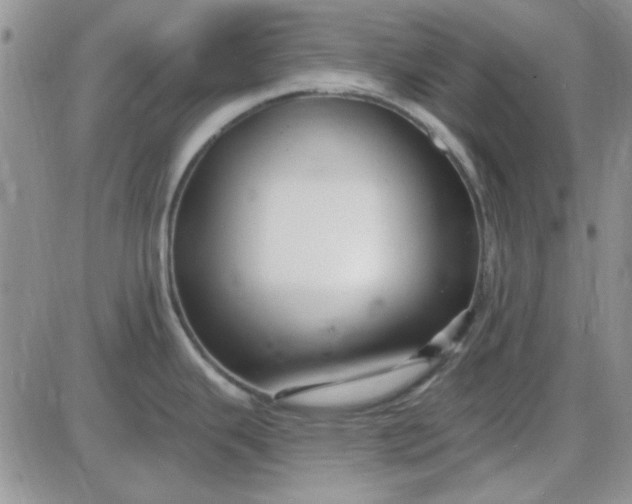 X0000085301343200703231848