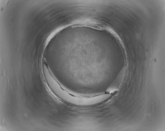 X0000085301344200703231848