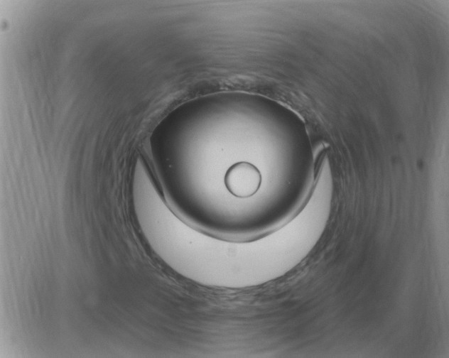 X0000085301345200703231848