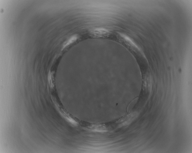 X0000085301346200703231848