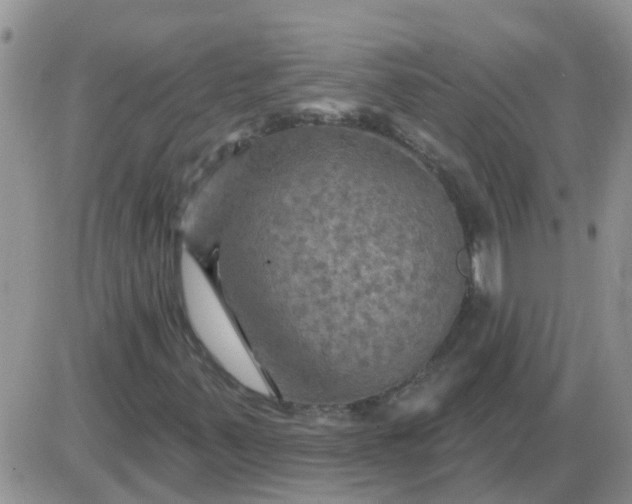 X0000085301347200703231848