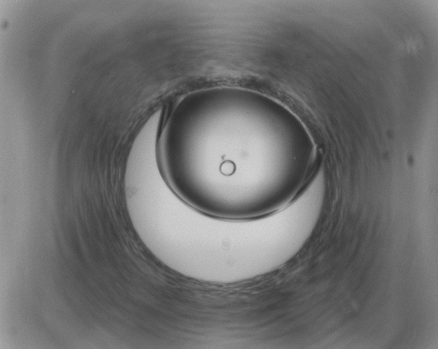 X0000085301348200703231848