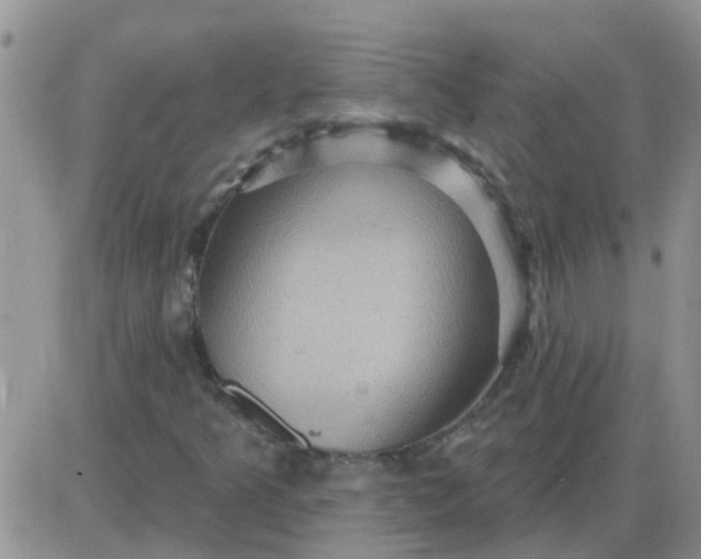 X0000085301349200703231848