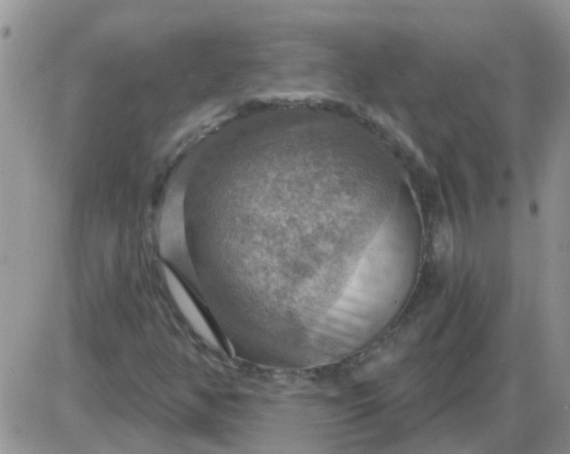 X0000085301350200703231848