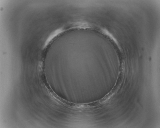 X0000085301352200703231848