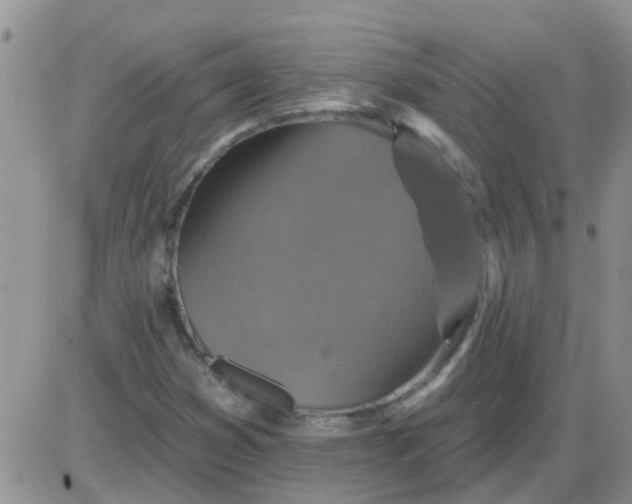 X0000085301353200703231848