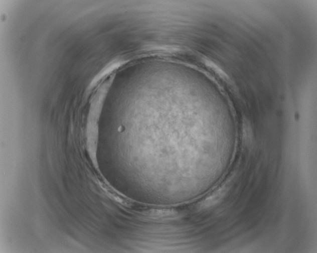 X0000085301354200703231848