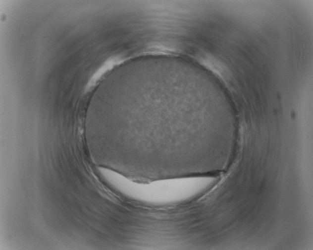 X0000085301355200703231848