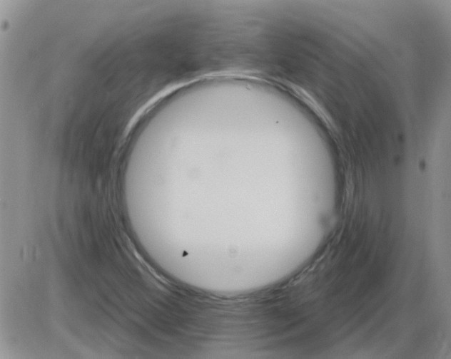 X0000085301356200703231848