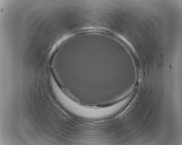 X0000085301357200703231847