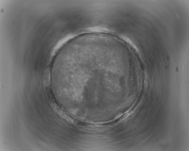 X0000085301358200703231847