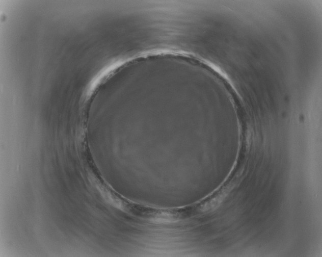 X0000085301359200703231847