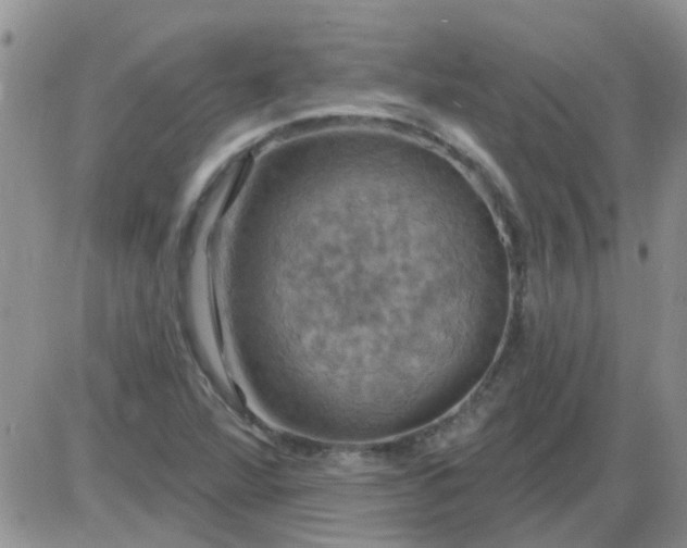 X0000085301360200703231847