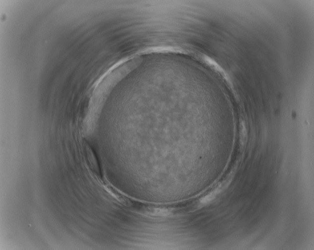 X0000085301361200703231847