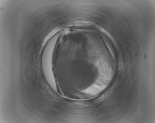 X0000085301362200703231847