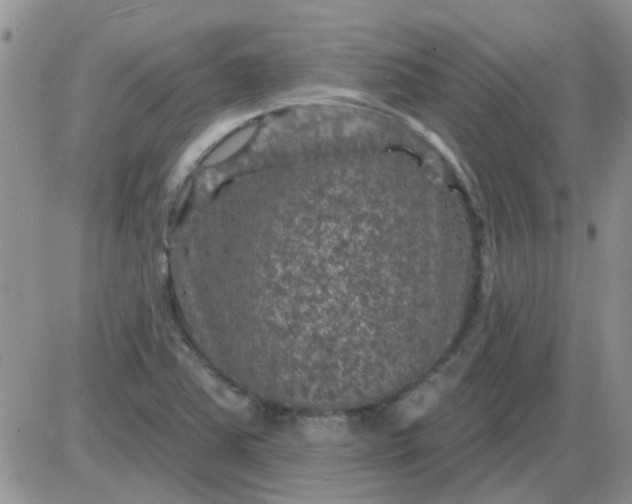 X0000085301363200703231847