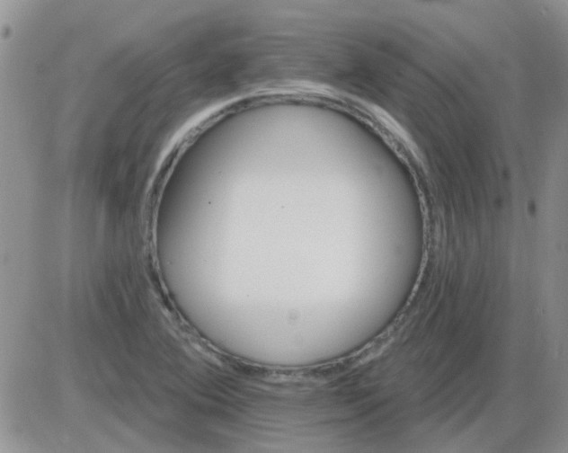 X0000085301364200703231847