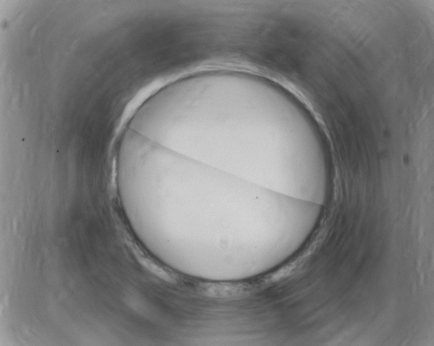 X0000085301366200703231847