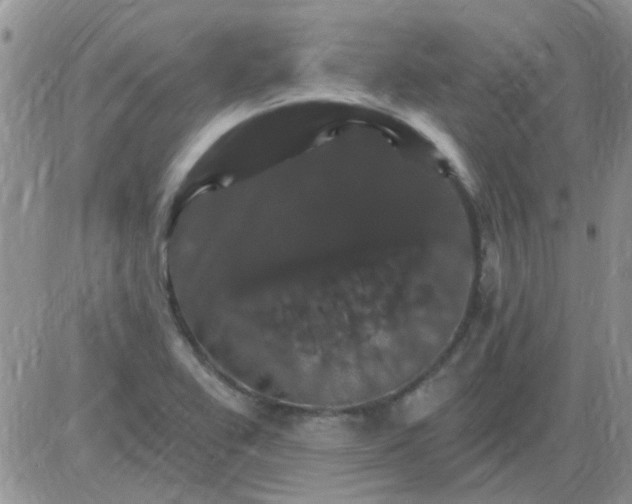 X0000085301367200703231847