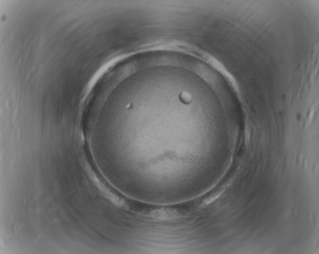 X0000085301368200703231847