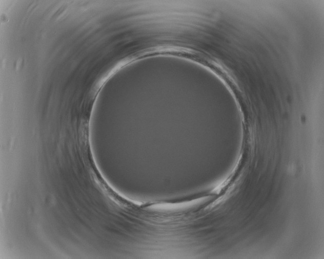 X0000085301369200703231847