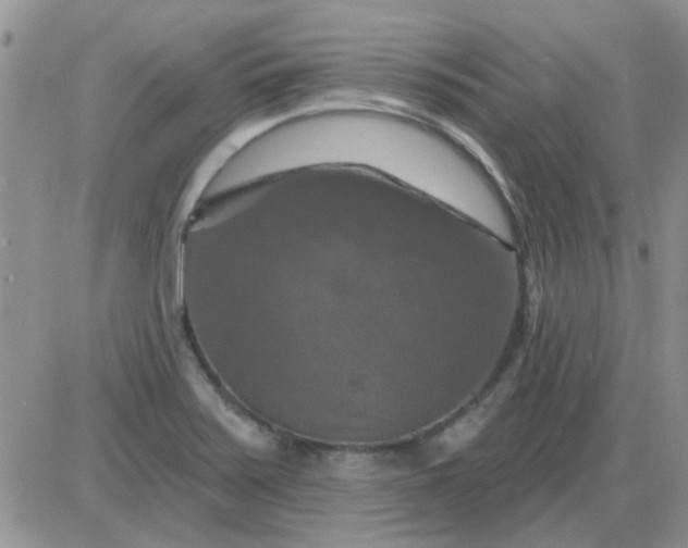 X0000085301371200703231847