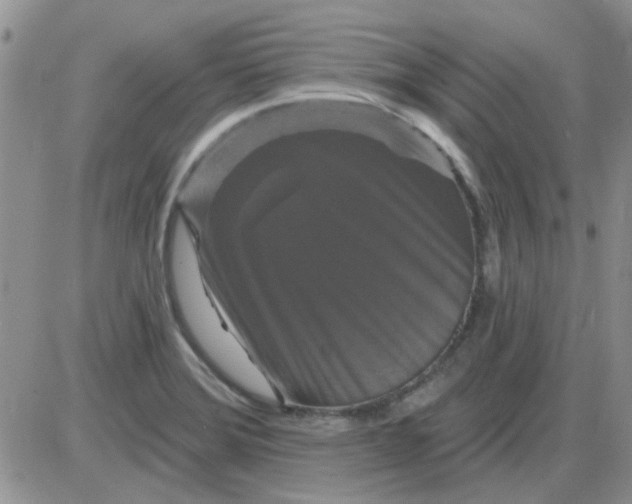 X0000085301372200703231847