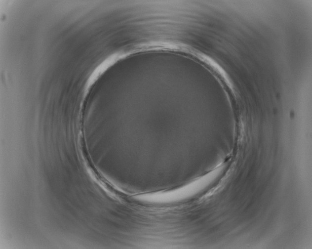 X0000085301373200703231847