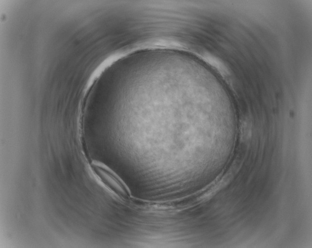 X0000085301374200703231847