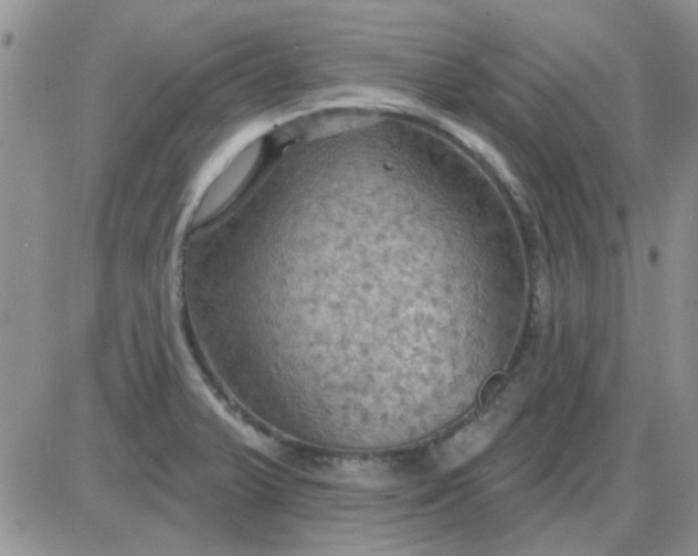 X0000085301375200703231847