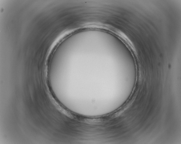 X0000085301376200703231847