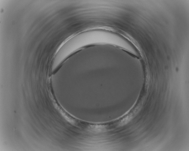 X0000085301377200703231847