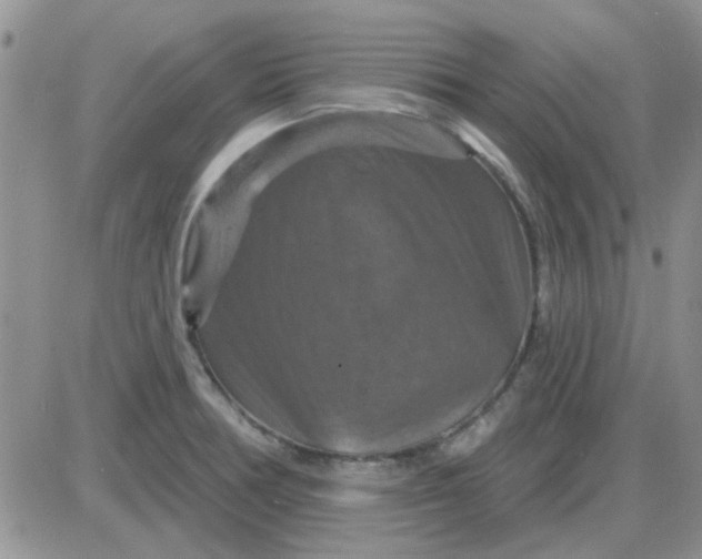 X0000085301378200703231847