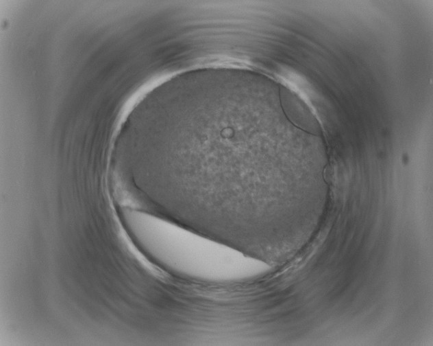 X0000085301379200703231847