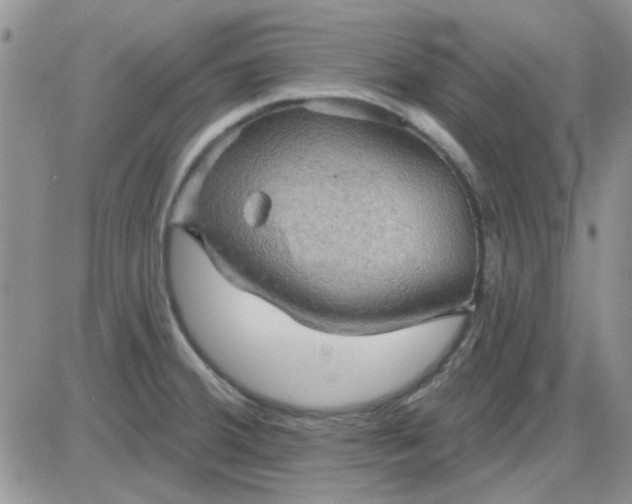 X0000085301380200703231847